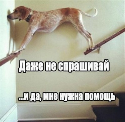 12.jpg (98.85 КБ) 2539 просмотров 12.jpg