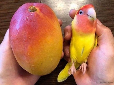 11.jpg (75.91 КБ) 2488 просмотров 11.jpg