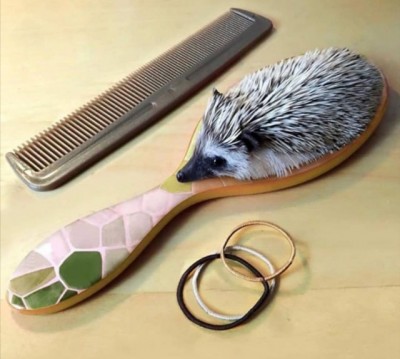 14.jpg (71.25 КБ) 2487 просмотров 14.jpg