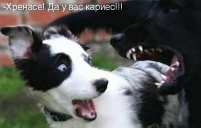 13.jpg (64.9 КБ) 2362 просмотра 13.jpg