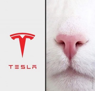 12.jpeg (39.72 КБ) 2581 просмотр 12.jpeg