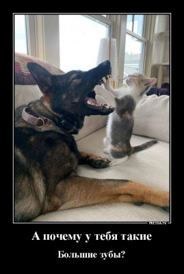 13.jpg (137.22 КБ) 2540 просмотров 13.jpg