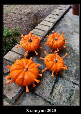 12.jpg (278.08 КБ) 2540 просмотров 12.jpg