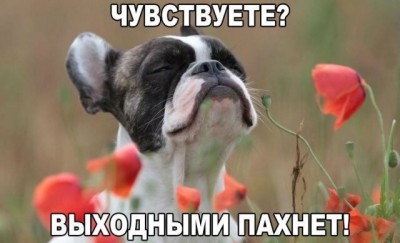 15.jpg (60.28 КБ) 2512 просмотров 15.jpg