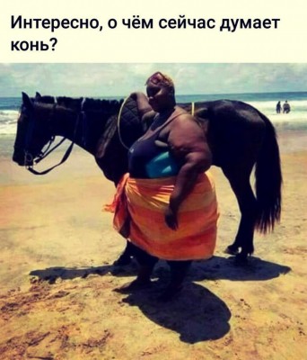 14.jpg (97.24 КБ) 2512 просмотров 14.jpg