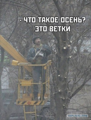 13.jpg (129.21 КБ) 2339 просмотров 13.jpg