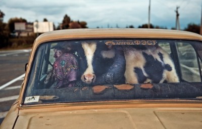 15.jpg (102.46 КБ) 2289 просмотров 15.jpg