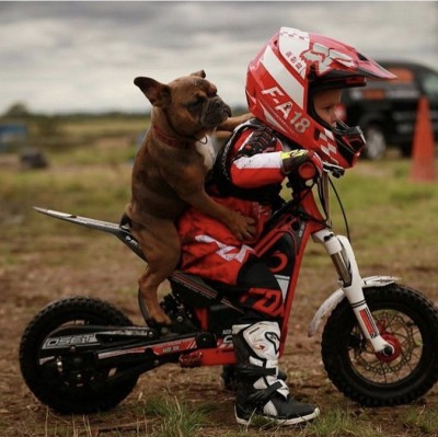 16.jpg (150.34 КБ) 2287 просмотров 16.jpg