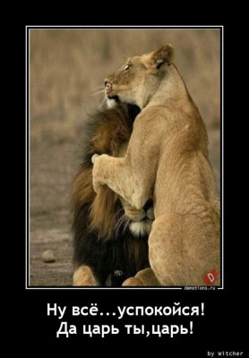 11.jpg (117.71 КБ) 2181 просмотр 11.jpg