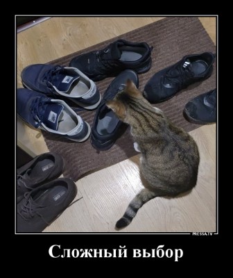 12.jpg (144.27 КБ) 2047 просмотров 12.jpg