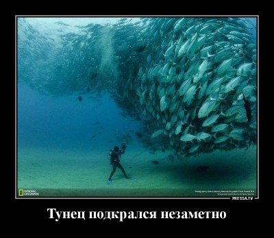 13.jpg (141.42 КБ) 2882 просмотра 13.jpg