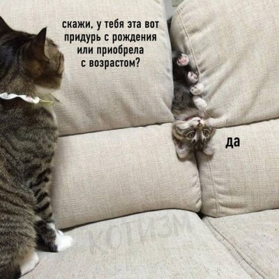 16.jpg (182.43 КБ) 2882 просмотра 16.jpg