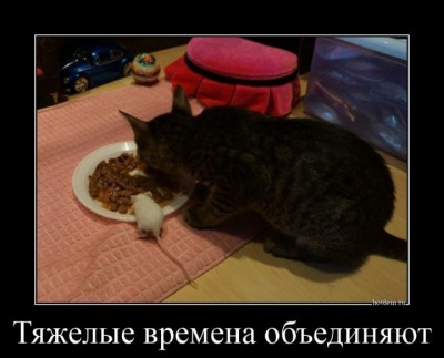 11.jpg (59 КБ) 2855 просмотров 11.jpg