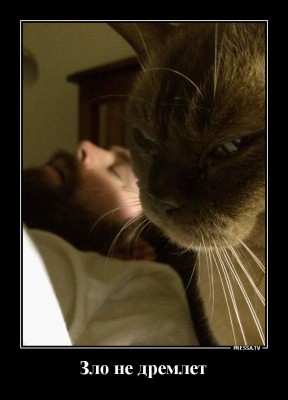 14.jpg (106.39 КБ) 2745 просмотров 14.jpg