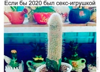 14.jpg (70.47 КБ) 2652 просмотра 14.jpg