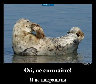 13.jpg (102.1 КБ) 2625 просмотров 13.jpg