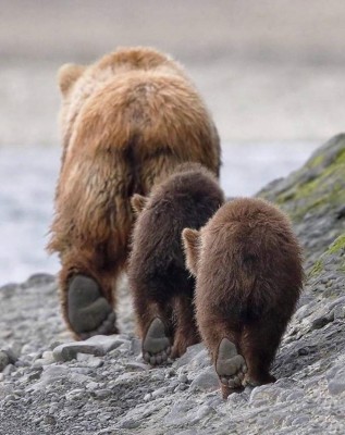 15.jpg (122.38 КБ) 2625 просмотров 15.jpg