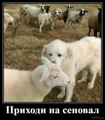 11.jpg (105.17 КБ) 2267 просмотров 11.jpg