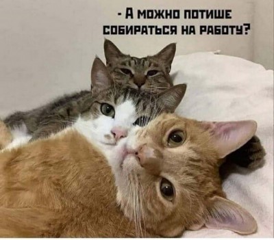 13.jpg (78.15 КБ) 2265 просмотров 13.jpg