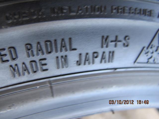falken3.jpg