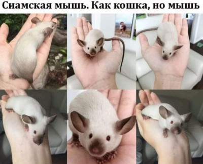 15.jpg (71.82 КБ) 3189 просмотров 15.jpg