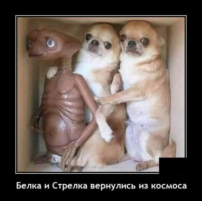 12.jpg (56.33 КБ) 3057 просмотров 12.jpg