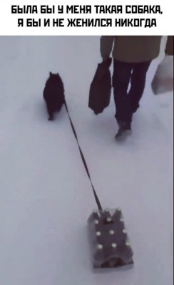 16.jpg (37.26 КБ) 2952 просмотра 16.jpg