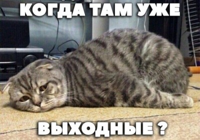 19.jpg (79.18 КБ) 3253 просмотра 19.jpg