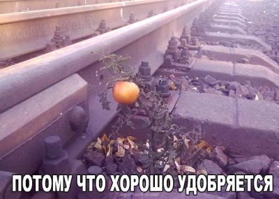 15.jpg (92.71 КБ) 3210 просмотров 15.jpg