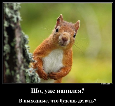 13.jpg (109.82 КБ) 3210 просмотров 13.jpg