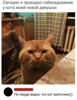 11.jpg (100.19 КБ) 2840 просмотров 11.jpg