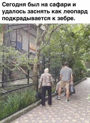 14.jpg (103.57 КБ) 3515 просмотров 14.jpg