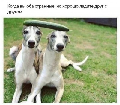 13.jpg (74.64 КБ) 3381 просмотр 13.jpg