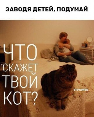 19.jpg (63.31 КБ) 3380 просмотров 19.jpg