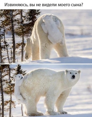 14.jpg (74.03 КБ) 3335 просмотров 14.jpg