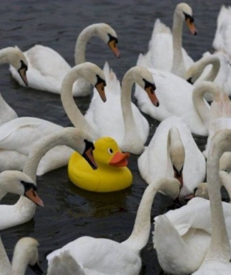 11.jpg (42.72 КБ) 3052 просмотра 11.jpg