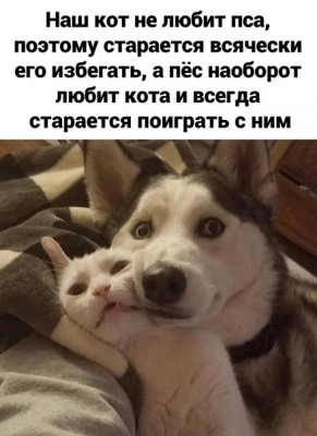 15.jpg (99.71 КБ) 2900 просмотров 15.jpg