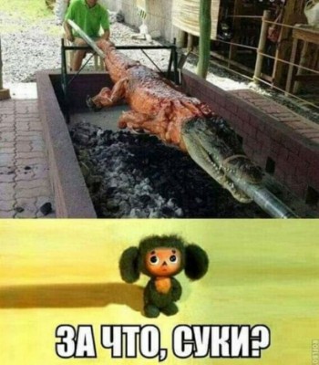 11.jpg (104.67 КБ) 2900 просмотров 11.jpg