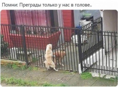 15.jpg (87.25 КБ) 2728 просмотров 15.jpg