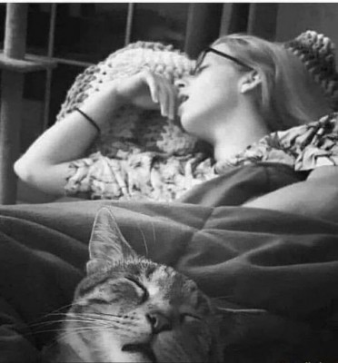 14.jpg (75.31 КБ) 2668 просмотров 14.jpg