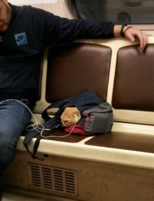 12.jpg (68.77 КБ) 2458 просмотров 12.jpg