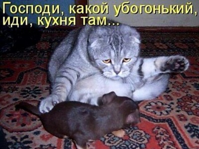 20.jpg (110.22 КБ) 3153 просмотра 20.jpg