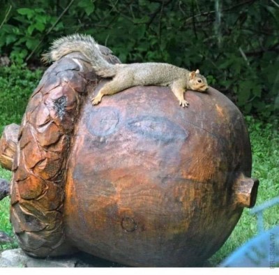 11.jpeg (102.32 КБ) 3116 просмотров 11.jpeg