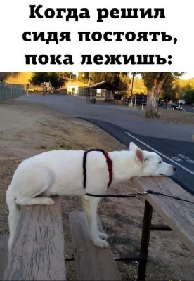 13.jpg (111.14 КБ) 3044 просмотра 13.jpg