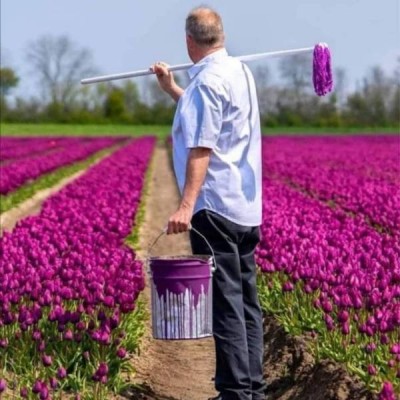 13.jpg (54.58 КБ) 2952 просмотра 13.jpg