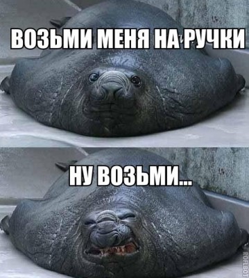 17.jpg (86.6 КБ) 2787 просмотров 17.jpg