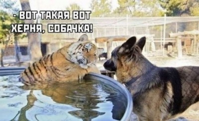 16.jpg (93.51 КБ) 2723 просмотра 16.jpg