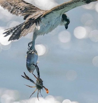 13.jpg (106.59 КБ) 3777 просмотров 13.jpg