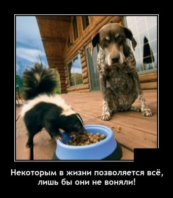 11.jpg (85.41 КБ) 3711 просмотров 11.jpg