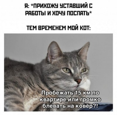 15.jpg (76.74 КБ) 3474 просмотра 15.jpg